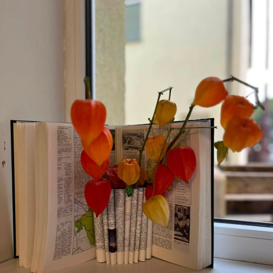 Atvērta grāmata ar sarullētām lapām, kas veido vāzi, kurā iestiprināti spilgti oranži un sarkani fizāļu zariņi. Grāmata novietota uz gaišas palodzes pie loga.